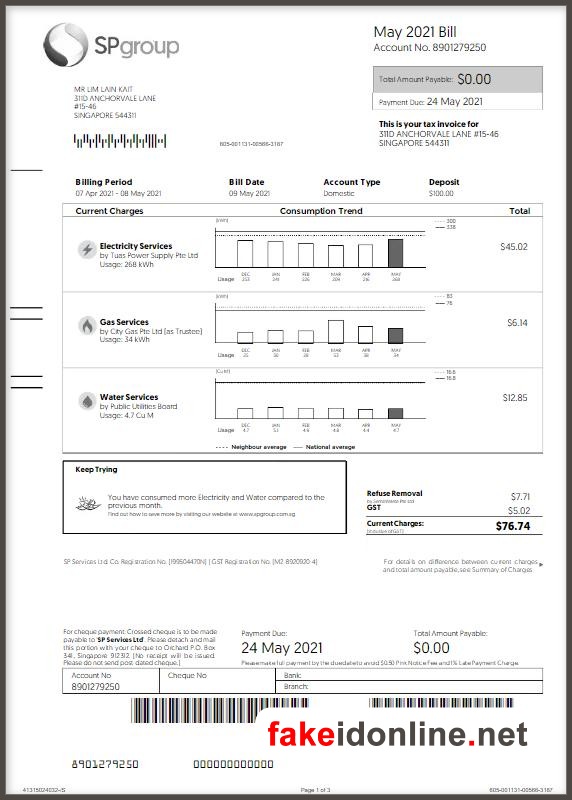Singapore Utility Bill PSD Template - Singapore Proof of Address
